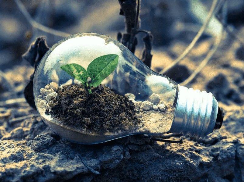 Å©ÓõØÖÊÁ¿¼ì²â