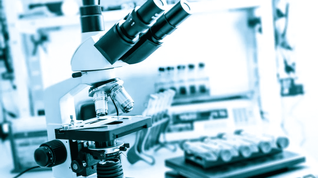 9888��˹ά��˹(�ɷ�)���޹�˾-�ٷ���վ