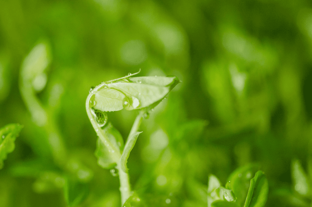 9888��˹ά��˹(�ɷ�)���޹�˾-�ٷ���վ