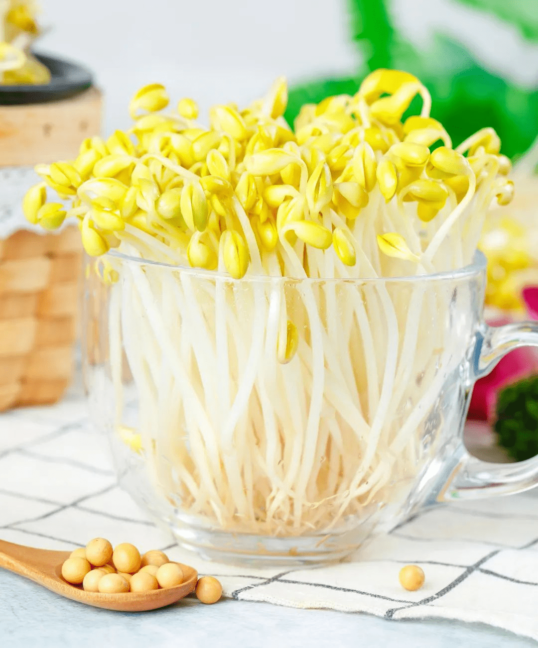 9888��˹ά��˹(�ɷ�)���޹�˾-�ٷ���վ