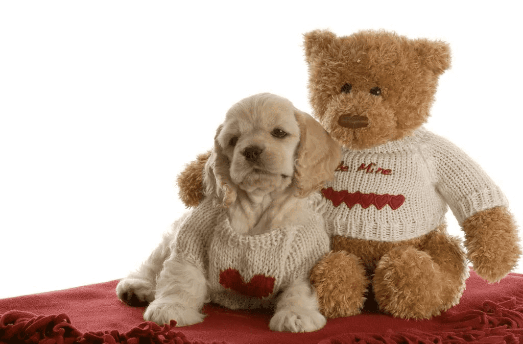 9888À˹ά¼Ó˹(¹É·Ý)ÓÐÏÞ¹«Ë¾-¹Ù·½ÍøÕ¾