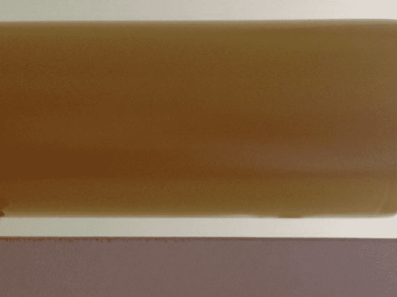 9888À˹ά¼Ó˹(¹É·Ý)ÓÐÏÞ¹«Ë¾-¹Ù·½ÍøÕ¾