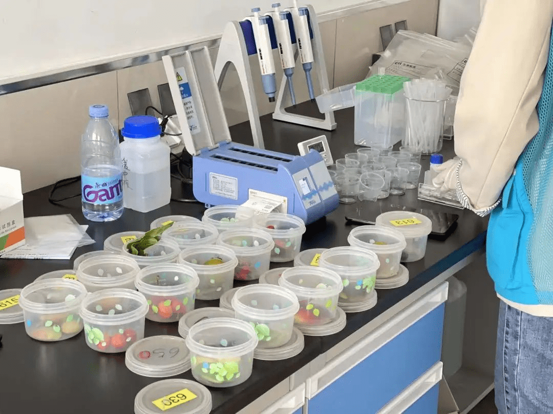 9888À˹ά¼Ó˹(¹É·Ý)ÓÐÏÞ¹«Ë¾-¹Ù·½ÍøÕ¾