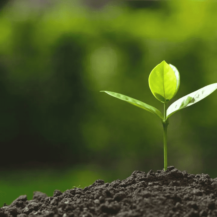 9888��˹ά��˹(�ɷ�)���޹�˾-�ٷ���վ