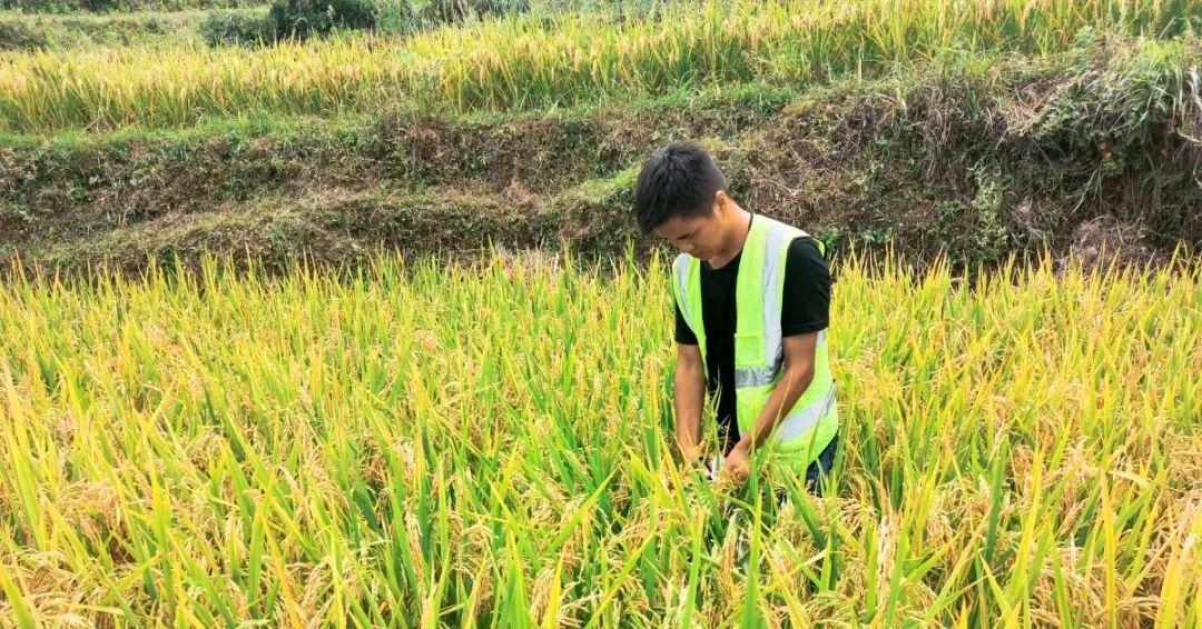 9888À˹ά¼Ó˹(¹É·Ý)ÓÐÏÞ¹«Ë¾-¹Ù·½ÍøÕ¾