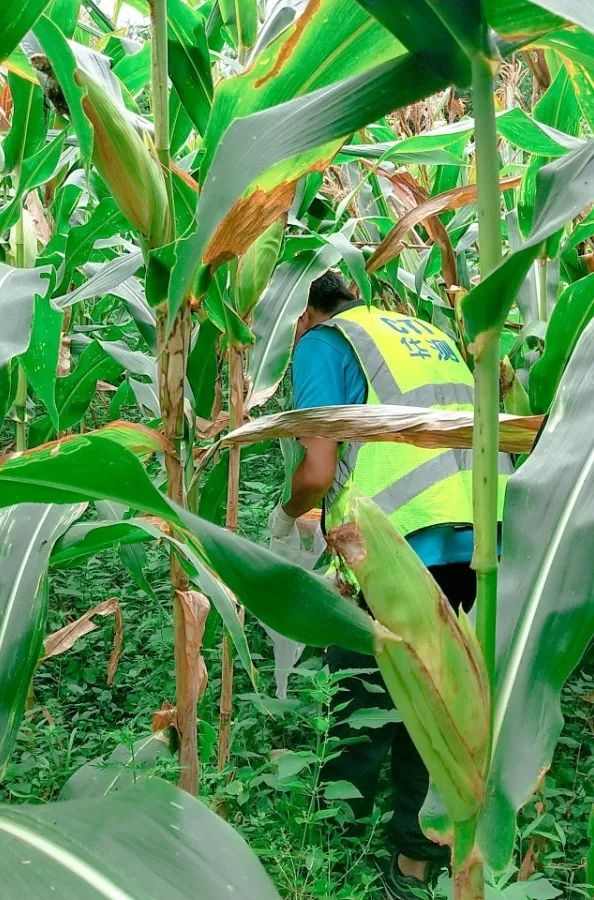 9888À˹ά¼Ó˹(¹É·Ý)ÓÐÏÞ¹«Ë¾-¹Ù·½ÍøÕ¾