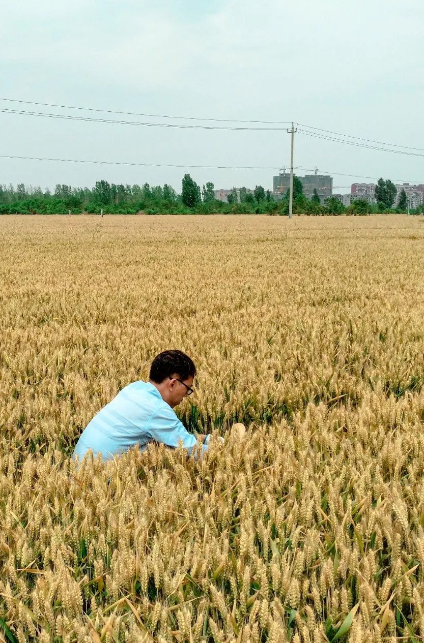 9888À˹ά¼Ó˹(¹É·Ý)ÓÐÏÞ¹«Ë¾-¹Ù·½ÍøÕ¾