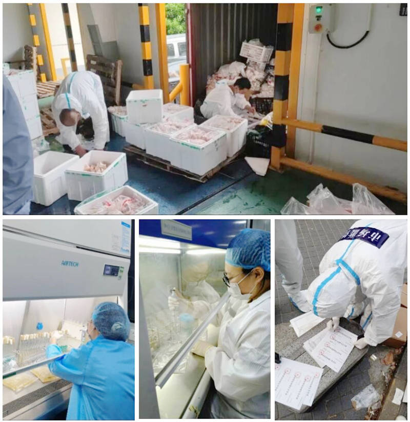 �µ�ʳ��������ʵ����