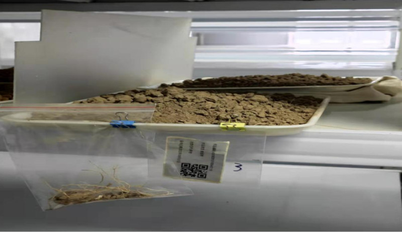 9888À˹ά¼Ó˹(¹É·Ý)ÓÐÏÞ¹«Ë¾-¹Ù·½ÍøÕ¾