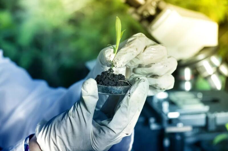 9888À˹ά¼Ó˹(¹É·Ý)ÓÐÏÞ¹«Ë¾-¹Ù·½ÍøÕ¾