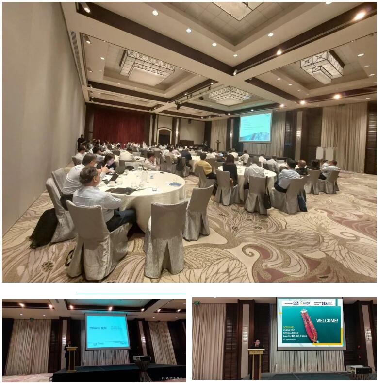 9888��˹ά��˹(�ɷ�)���޹�˾-�ٷ���վ