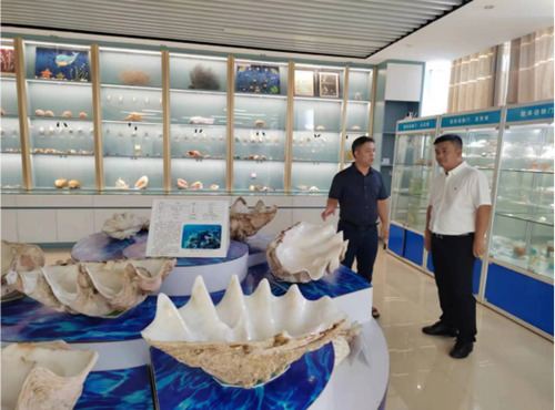 9888��˹ά��˹(�ɷ�)���޹�˾-�ٷ���վ