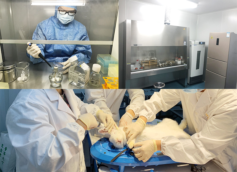 9888��˹ά��˹(�ɷ�)���޹�˾-�ٷ���վ