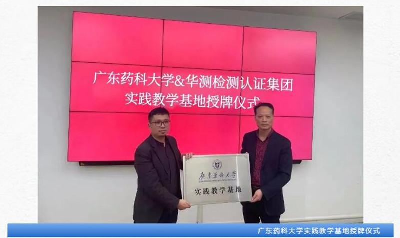 9888À˹ά¼Ó˹(¹É·Ý)ÓÐÏÞ¹«Ë¾-¹Ù·½ÍøÕ¾