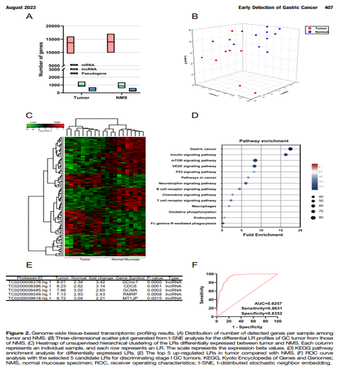 9888À˹ά¼Ó˹(¹É·Ý)ÓÐÏÞ¹«Ë¾-¹Ù·½ÍøÕ¾