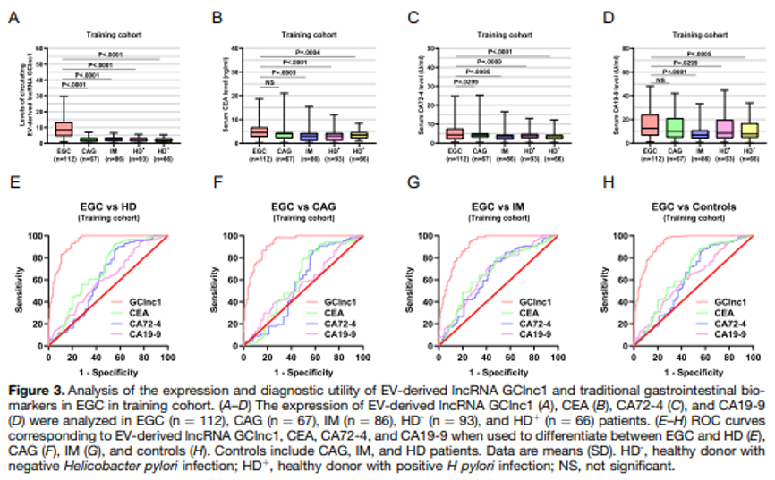 9888À˹ά¼Ó˹(¹É·Ý)ÓÐÏÞ¹«Ë¾-¹Ù·½ÍøÕ¾