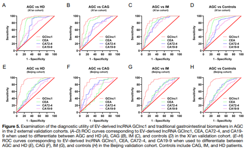 9888À˹ά¼Ó˹(¹É·Ý)ÓÐÏÞ¹«Ë¾-¹Ù·½ÍøÕ¾