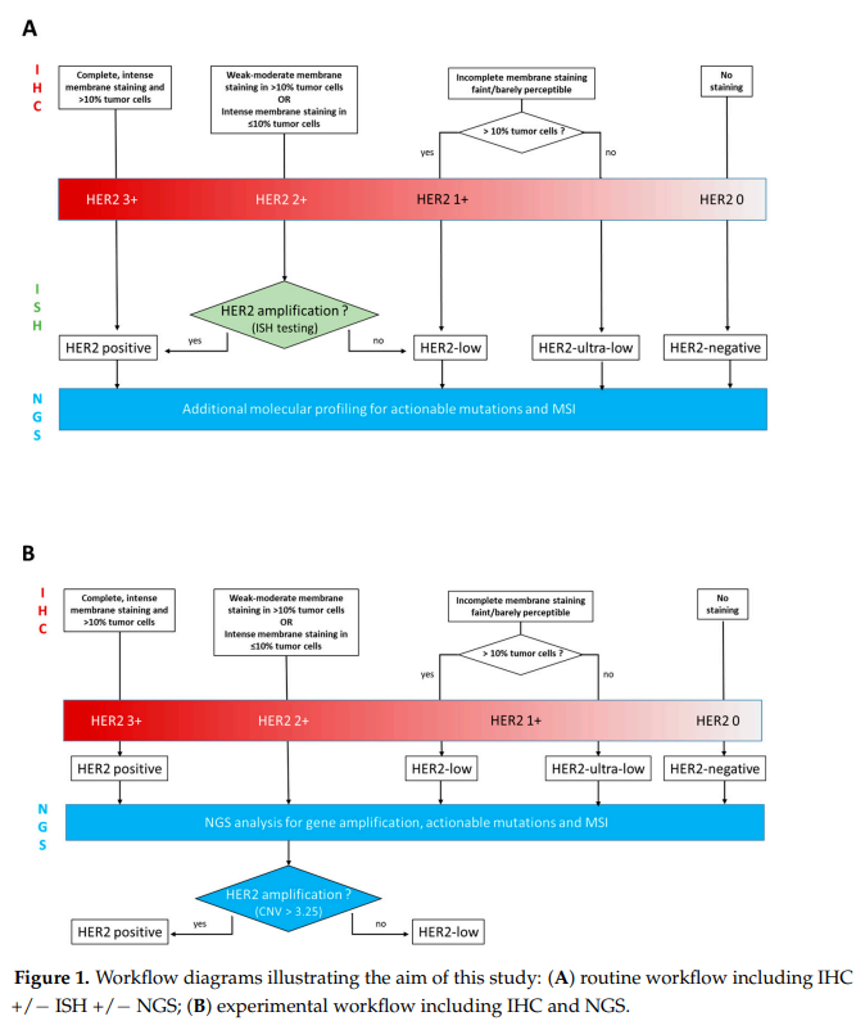 9888À˹ά¼Ó˹(¹É·Ý)ÓÐÏÞ¹«Ë¾-¹Ù·½ÍøÕ¾