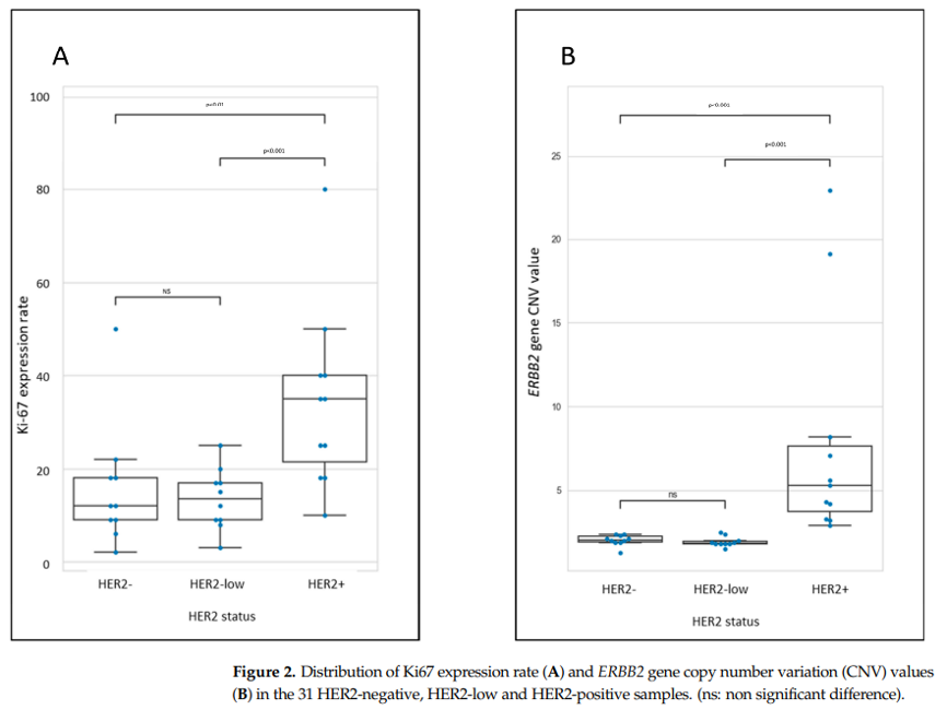 9888À˹ά¼Ó˹(¹É·Ý)ÓÐÏÞ¹«Ë¾-¹Ù·½ÍøÕ¾