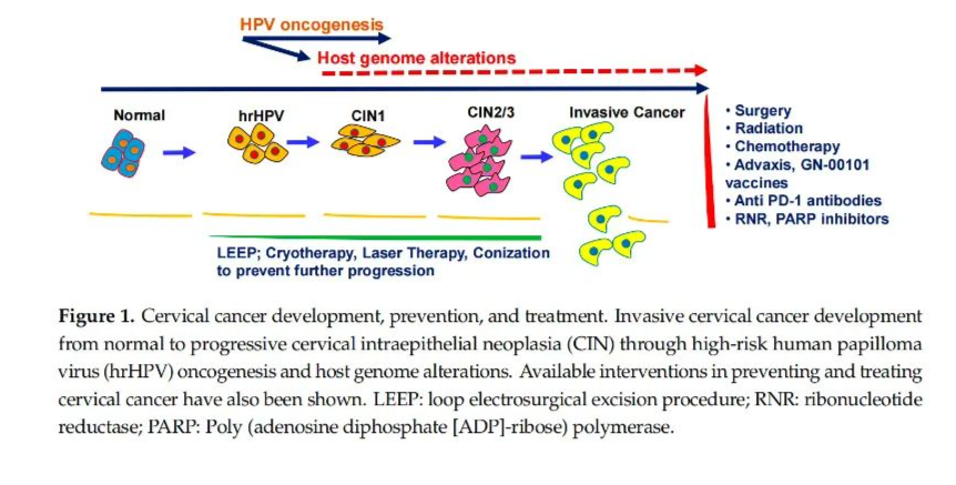 9888��˹ά��˹(�ɷ�)���޹�˾-�ٷ���վ