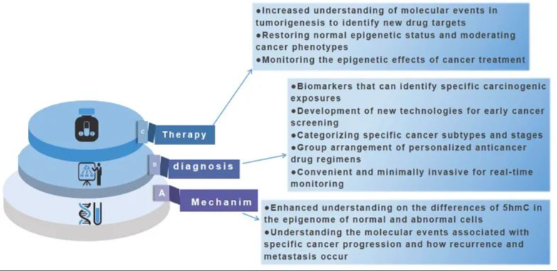 9888À˹ά¼Ó˹(¹É·Ý)ÓÐÏÞ¹«Ë¾-¹Ù·½ÍøÕ¾