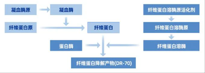 9888À˹ά¼Ó˹(¹É·Ý)ÓÐÏÞ¹«Ë¾-¹Ù·½ÍøÕ¾