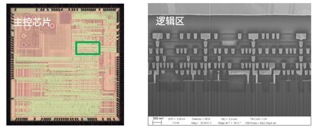 9888À˹ά¼Ó˹(¹É·Ý)ÓÐÏÞ¹«Ë¾-¹Ù·½ÍøÕ¾
