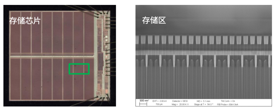 9888À˹ά¼Ó˹(¹É·Ý)ÓÐÏÞ¹«Ë¾-¹Ù·½ÍøÕ¾
