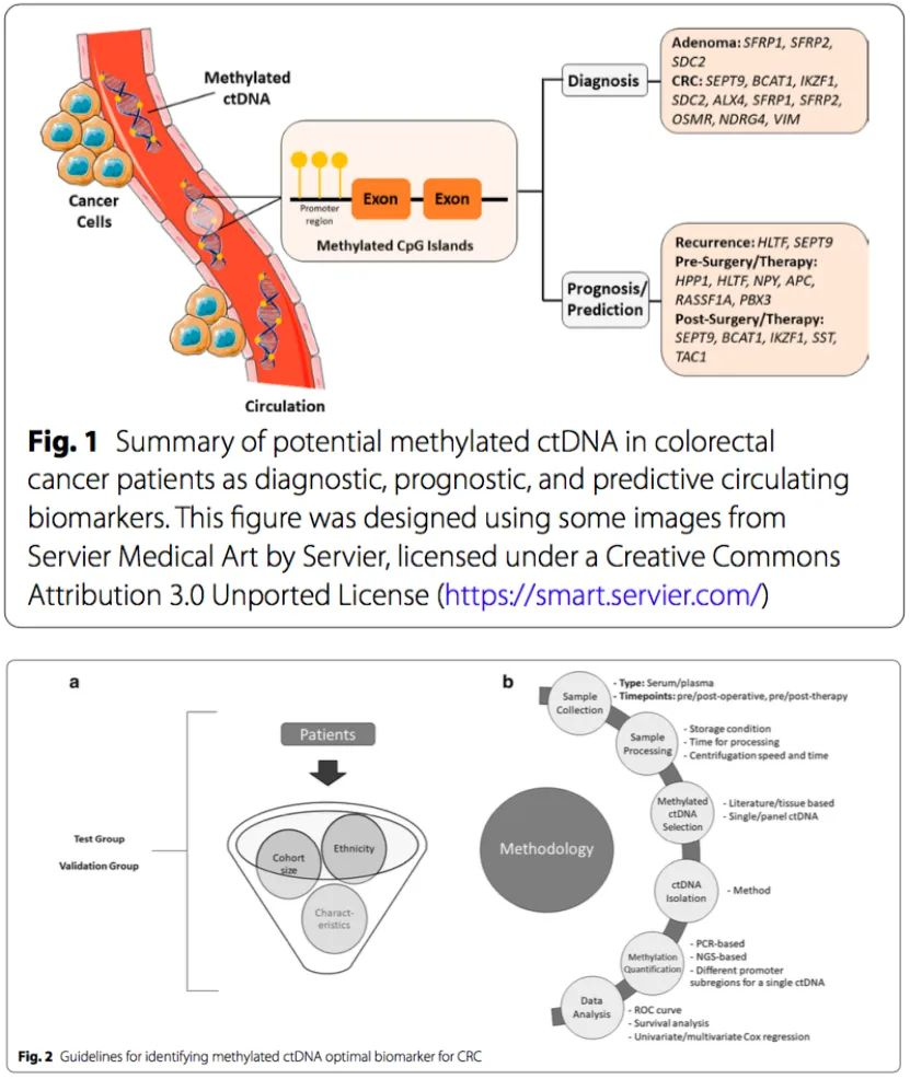 9888À˹ά¼Ó˹(¹É·Ý)ÓÐÏÞ¹«Ë¾-¹Ù·½ÍøÕ¾