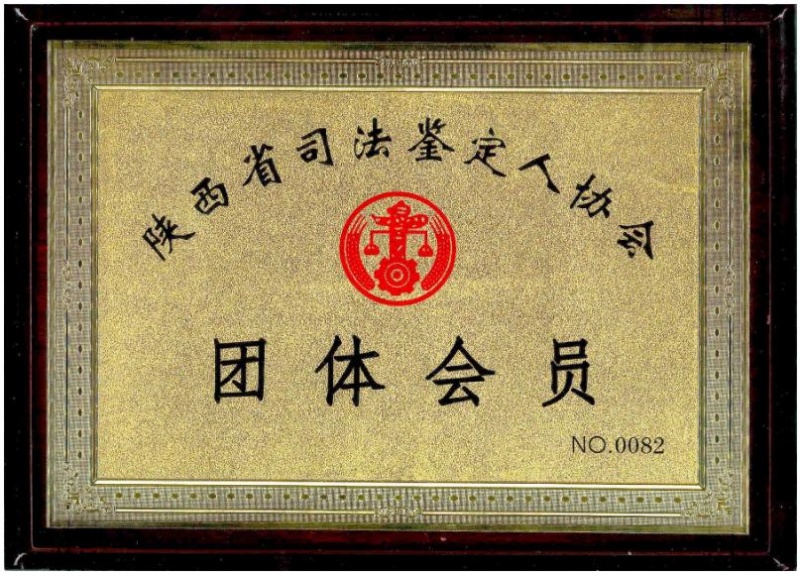 9888À˹ά¼Ó˹(¹É·Ý)ÓÐÏÞ¹«Ë¾-¹Ù·½ÍøÕ¾