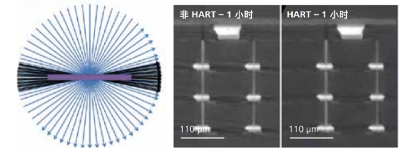 9888À˹ά¼Ó˹(¹É·Ý)ÓÐÏÞ¹«Ë¾-¹Ù·½ÍøÕ¾