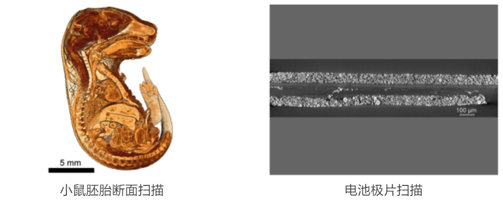 9888À˹ά¼Ó˹(¹É·Ý)ÓÐÏÞ¹«Ë¾-¹Ù·½ÍøÕ¾