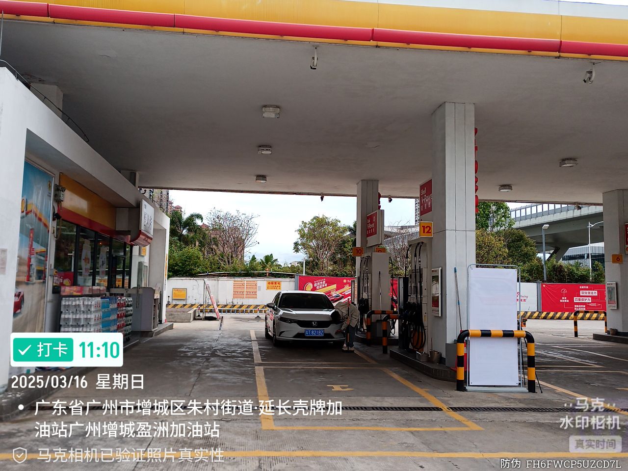 9888À˹ά¼Ó˹(¹É·Ý)ÓÐÏÞ¹«Ë¾-¹Ù·½ÍøÕ¾