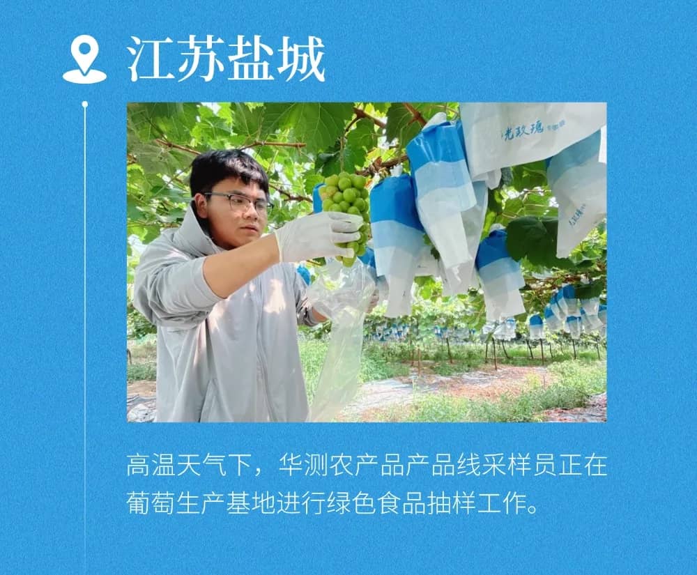 9888À˹ά¼Ó˹(¹É·Ý)ÓÐÏÞ¹«Ë¾-¹Ù·½ÍøÕ¾