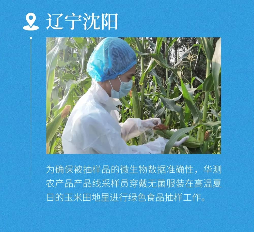 9888À˹ά¼Ó˹(¹É·Ý)ÓÐÏÞ¹«Ë¾-¹Ù·½ÍøÕ¾