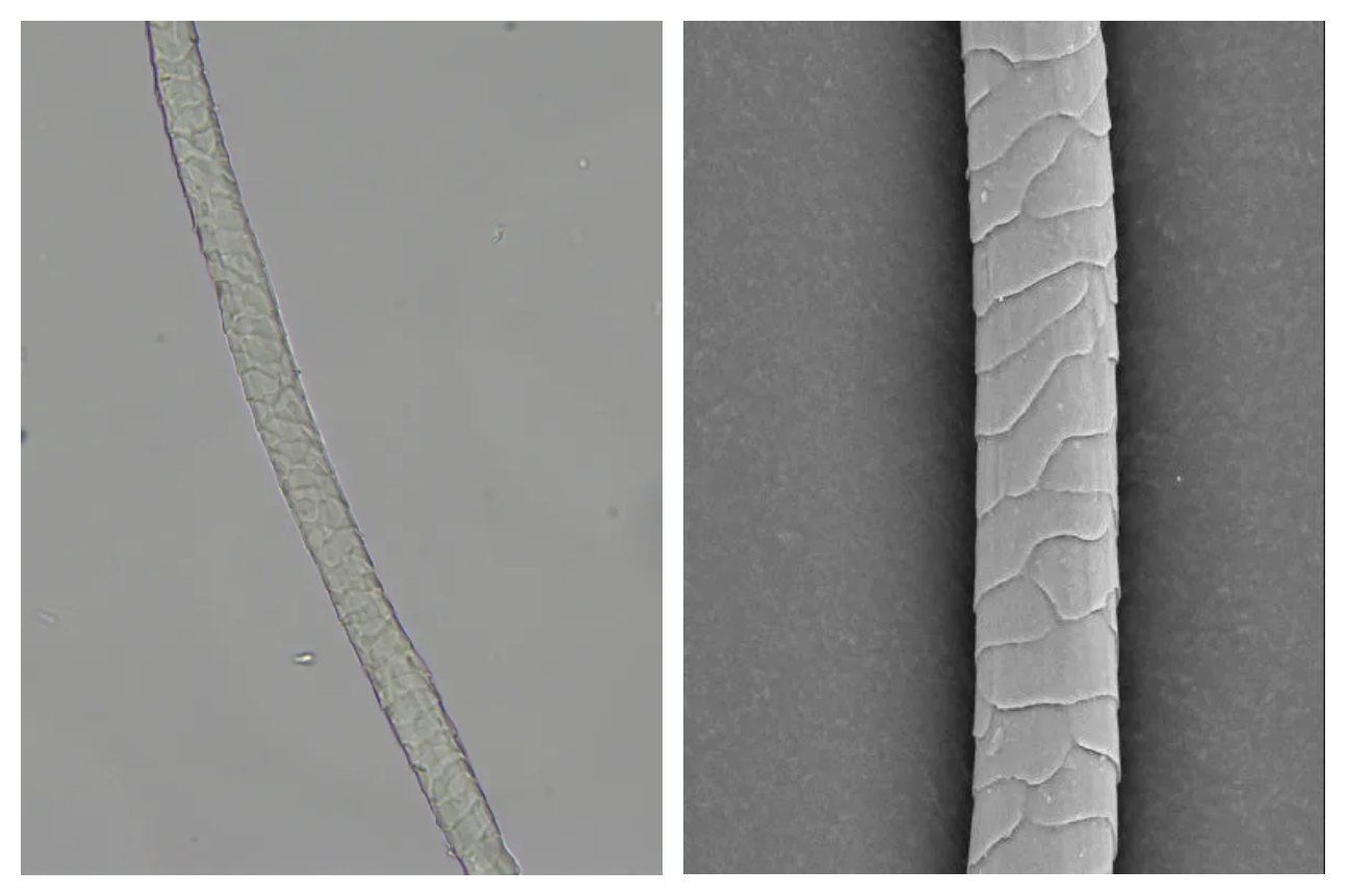 9888��˹ά��˹(�ɷ�)���޹�˾-�ٷ���վ