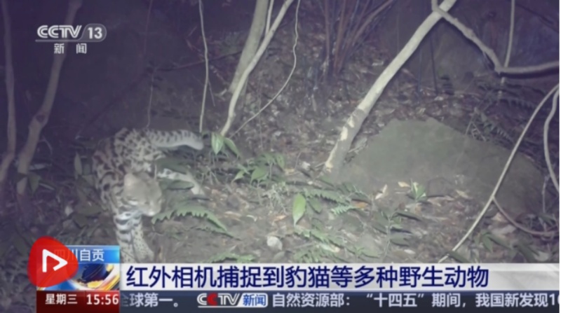 9888��˹ά��˹(�ɷ�)���޹�˾-�ٷ���վ