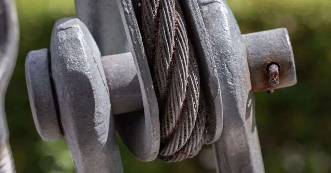 9888À˹ά¼Ó˹(¹É·Ý)ÓÐÏÞ¹«Ë¾-¹Ù·½ÍøÕ¾