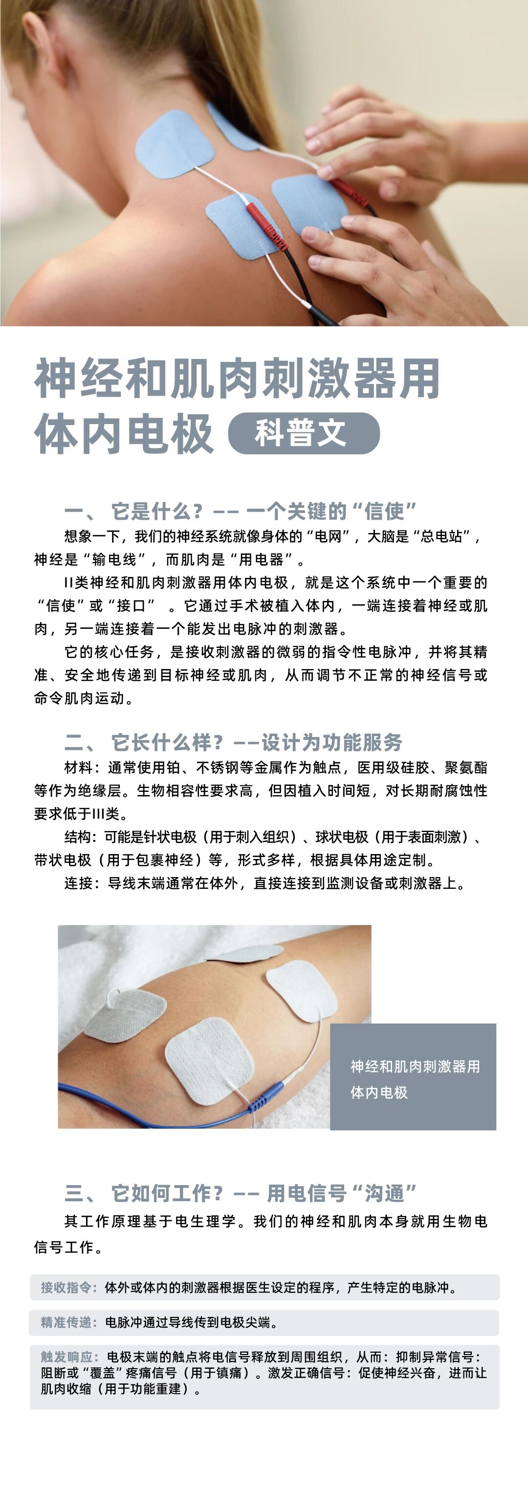 9888À˹ά¼Ó˹(¹É·Ý)ÓÐÏÞ¹«Ë¾-¹Ù·½ÍøÕ¾