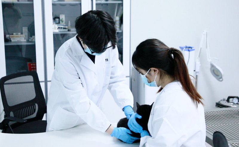 9888À˹ά¼Ó˹(¹É·Ý)ÓÐÏÞ¹«Ë¾-¹Ù·½ÍøÕ¾