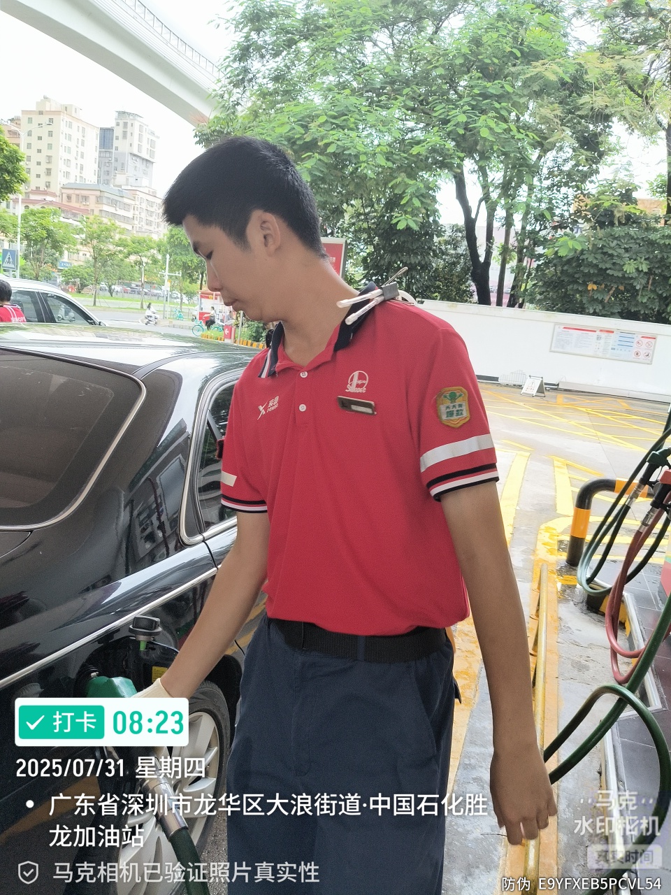 9888À˹ά¼Ó˹(¹É·Ý)ÓÐÏÞ¹«Ë¾-¹Ù·½ÍøÕ¾