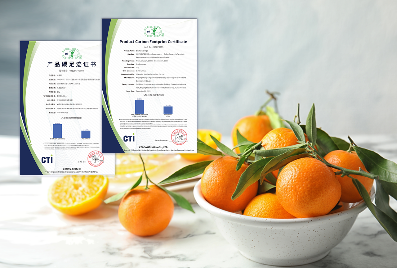 9888À˹ά¼Ó˹(¹É·Ý)ÓÐÏÞ¹«Ë¾-¹Ù·½ÍøÕ¾