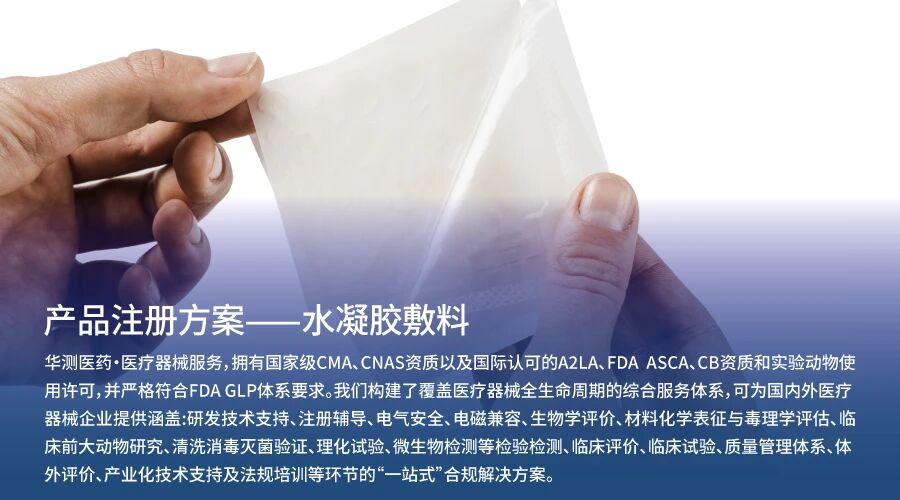 9888À˹ά¼Ó˹(¹É·Ý)ÓÐÏÞ¹«Ë¾-¹Ù·½ÍøÕ¾