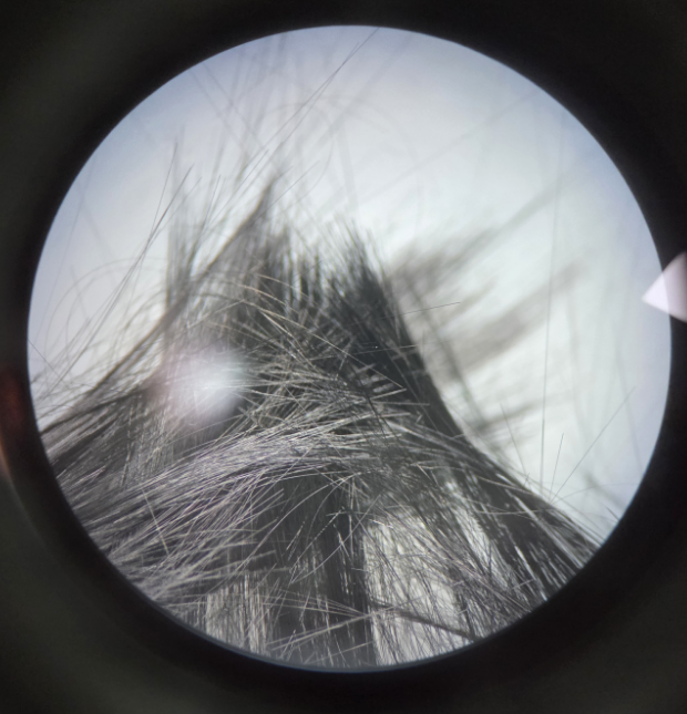 9888À˹ά¼Ó˹(¹É·Ý)ÓÐÏÞ¹«Ë¾-¹Ù·½ÍøÕ¾