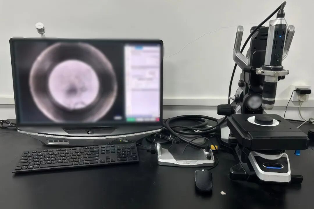 9888À˹ά¼Ó˹(¹É·Ý)ÓÐÏÞ¹«Ë¾-¹Ù·½ÍøÕ¾