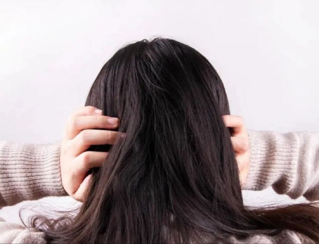 9888À˹ά¼Ó˹(¹É·Ý)ÓÐÏÞ¹«Ë¾-¹Ù·½ÍøÕ¾