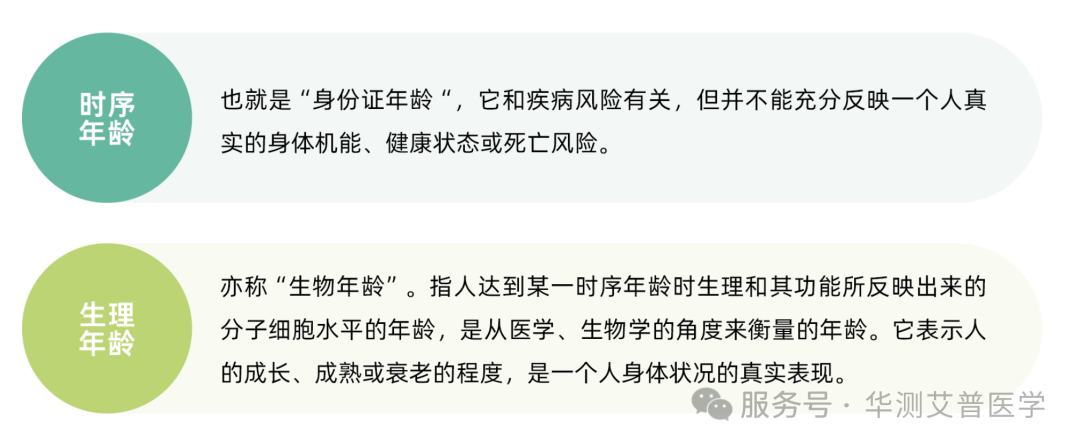 9888À˹ά¼Ó˹(¹É·Ý)ÓÐÏÞ¹«Ë¾-¹Ù·½ÍøÕ¾