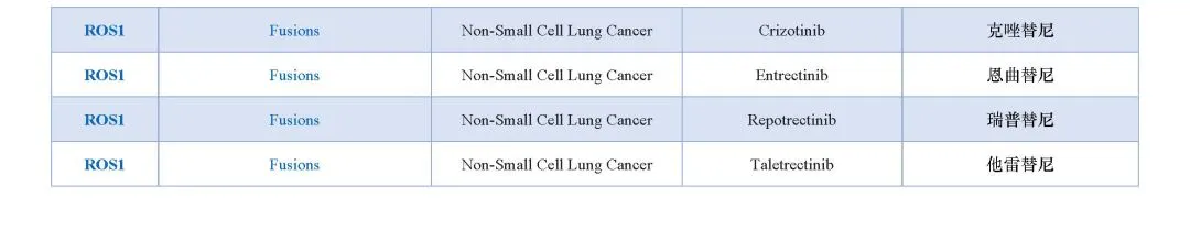 9888��˹ά��˹(�ɷ�)���޹�˾-�ٷ���վ