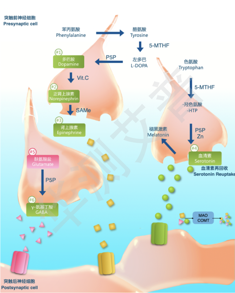 9888��˹ά��˹(�ɷ�)���޹�˾-�ٷ���վ