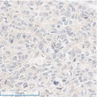 9888��˹ά��˹(�ɷ�)���޹�˾-�ٷ���վ